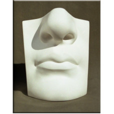 Учебные гипсовые модели