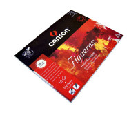 Альбоми, папір для олійного та акрилового живопису Canson блок Figueras Bloc, 290g, 38 x 46 (10)