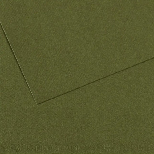 Бумага для пастели 50х65 см Canson 160 г No448 темно-зеленый
