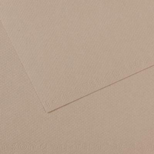 Бумага для пастели 50х65 см Canson 160 г No122 серый фланелевый