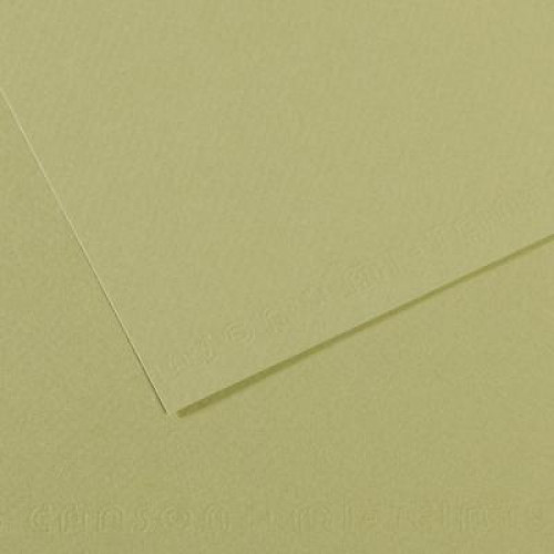 Папір для пастель 50х65 см Canson 160 г No480 зелений світлий