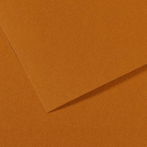 Бумага для пастели 50х65 см Canson 160 г No502 коричневый светлый