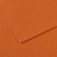 Бумага для пастели 50х65 см Canson 160 г No504 янтарный