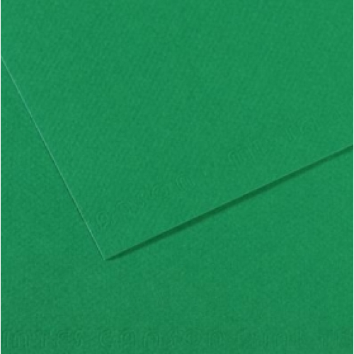 Папір для пастель 50х65 см Canson 160 г No575 зелений