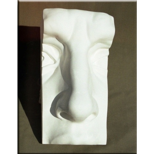 Гипсовая модель учебная Нос Давида 30 см