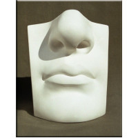Гипсовая модель учебная Губы и нос Давида 24х19х13 см