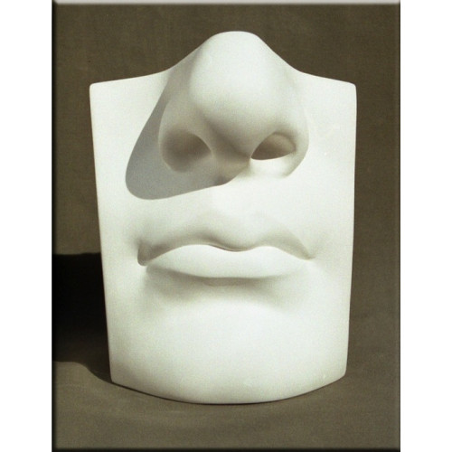 Гипсовая модель учебная Губы и нос Давида