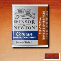 Акварельна фарба Winsor Newton, № 074 Охра палена
