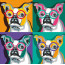 Картина за номерами акрил Собака в квадраті ROSA START - товара нет в наличии