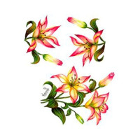 Трансфер Cadence, універсальний Gulsun Ulku Series Transfer 25*35, G-62