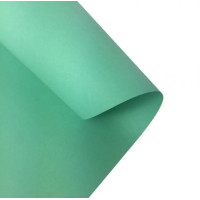 Картон Folia Photo Mounting Board 300 гр, 50x70 см, №25 Mint (Мятный)