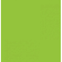 Картон Folia Photo Mounting Board 300 гр, 50x70 см, №50 Spring green (Салатовый)