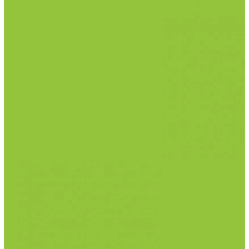 Картон Folia Photo Mounting Board 300 гр, 50x70 см, №50 Spring green (Салатовый)