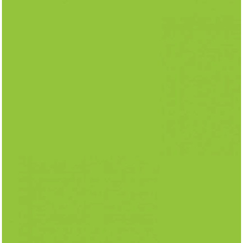 Картон Folia Photo Mounting Board 300 гр, A4 №50 Spring green (Салатовий)