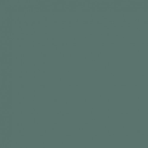 Акриловая краска Cadence Premium Acrylic Paint 25 мл Mold Green (Зеленая плесень)