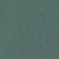 Акриловая краска Cadence Premium Acrylic Paint, 70 мл, Mold Green