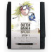 Маркеры набор SketchMarker Brush Шаг 1 12 шт, SMB-12STEP1
