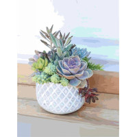 Холст на картоне с контуром, Натюрморт №30, 30х40, хлопок акрил ROSA START