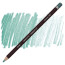 Олівець кольоровий Derwent Coloursoft Сіро-зелений С390