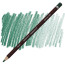 Олівець кольоровий Derwent Coloursoft Темно-зелений С410