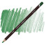 Олівець кольоровий Derwent Coloursoft зелений С420