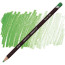 Олівець кольоровий Derwent Coloursoft Зелений горох С430
