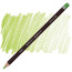 Олівець кольоровий Derwent Coloursoft Світло-зелений С440