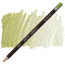 Олівець кольоровий Derwent Coloursoft Жовто-зелений С450