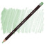 Олівець кольоровий Derwent Coloursoft М'ятний блідий С490