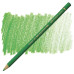 Карандаш цветной Polychromos Faber-Castell 112 лиственная зелень 110112