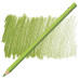 Карандаш цветной Polychromos Faber-Castell 170 майская зелень 110170