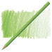 Олівець кольоровий Polychromos Faber-Castell 171 світло-зелений 110171