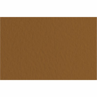 Папір для пастелі Tiziano A3 (29,7х42см), №09 caffe, 160 г м2, коричневий, середнє зерно, Fabriano