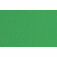 Бумага для пастели Tiziano B2 (50х70см), №12 prato, 160 г м2, зелёная, среднее зерно, Fabriano