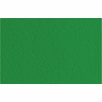 Папір для пастелі Tiziano A4 (21х29,7см) №37 biliardo, 160 г м2, зелений, середнє зерно, Fabriano