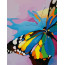 Картина за номерами, набір Яскравий метелик, 35х45 см, ROSA START - товара нет в наличии