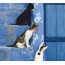 Картина по номерам, набор стандарт Котята на лестнице, 35х45 см, ROSA START - товара нет в наличии