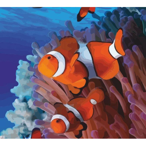 Картина по номерам, набор стандарт Рыбки в кораллах, 35х45 см, ROSA START