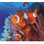 Картина за номерами, набір стандарту Рибки в коралах, 35х45 см, ROSA START - товара нет в наличии