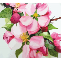 Картина по номерам, набор стандарт Яблоневый цвет, 35х45 см, ROSA START