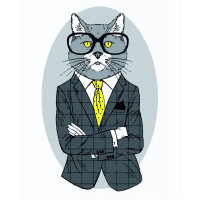 Картина по номерам, набор стандарт Fashion Cat, 35х45 см, ROSA START