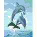 Картина по номерам, набор стандарт Дельфины, 35х45 см, ROSA START