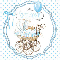 Декупажные салфетки Welcome blue 33х33 см 18,5 гм2 20 шт Ambiente