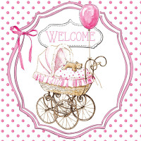 Декупажні серветки Welcome pink 33х33 см 18,5 гм2 20 шт Ambiente