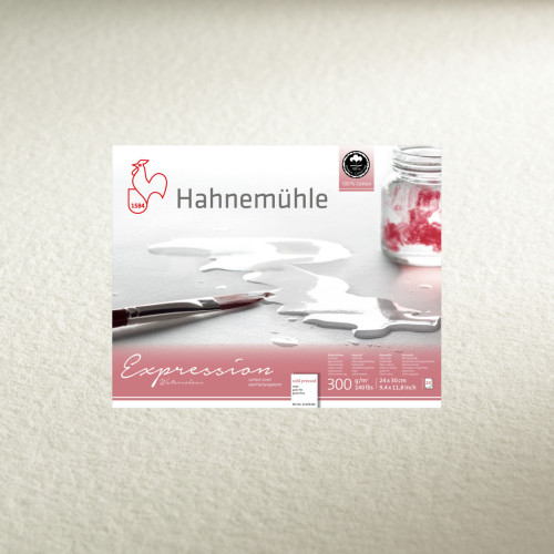 Бумага акварельная Hahnemuhle Expression Watercolour 300 г/м CP, 24 x 30 см, 20 листов, склейка