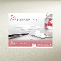 Папір акварель Hahnemuhle Harmony Watercolour 300 г/м HP, 50 x 65 см, лист
