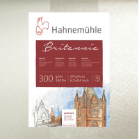 Папір акварельний Hahnemuhle Britannia 70х100 300 г/м rough, лист