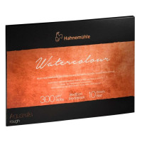 Папір для акварелі Hahnemuhle The Collection 300 г/м HP, 24 х 32 см, 10 аркушів, склейка