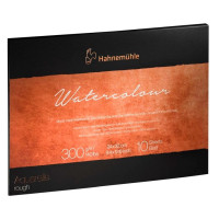 Бумага для акварели Hahnemuhle The Collection 300 г/м CP, 30 х 40 см, 10 листов, склейка