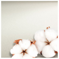 Папір для акварелі Hahnemuhle The Collection 300 г/м HP, 106 x 78 см, лист